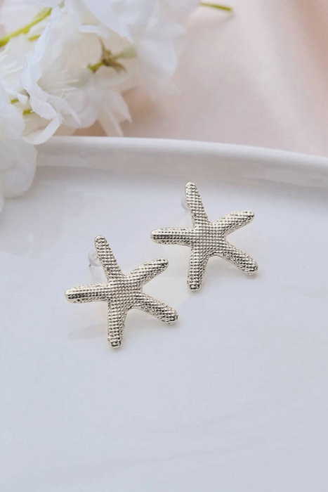 Heliophilia Silver Pendientes de Plata con Circonita